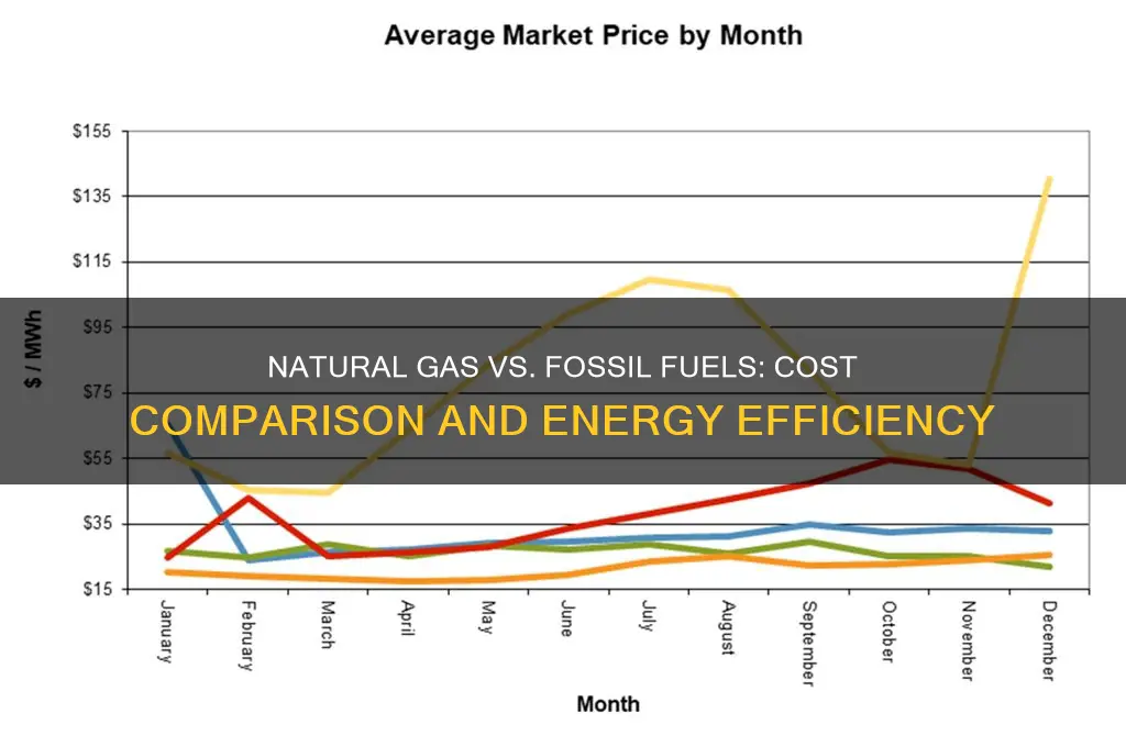 is natural gas more expensive than other fossil fuels