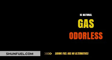 Unveiling the Truth: Is Natural Gas Truly Odorless?
