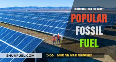 Natural Gas Dominance: Is It the Leading Fossil Fuel Today?