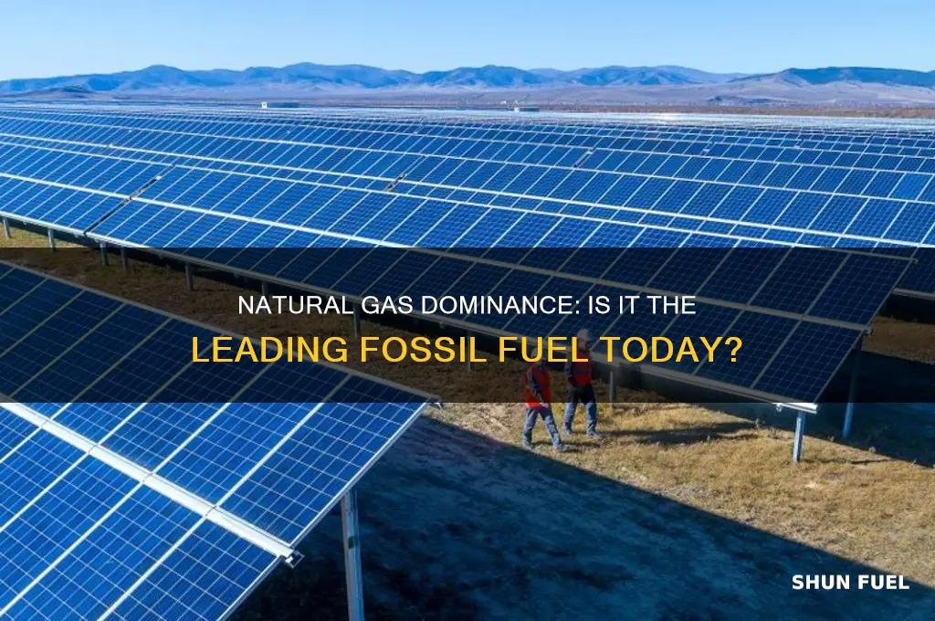 is natural gas the most popular fossil fuel