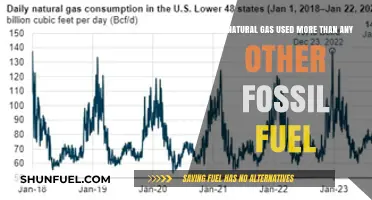 Natural Gas Dominance: Surpassing Other Fossil Fuels in Global Usage?
