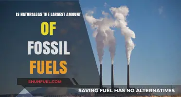 Is Natural Gas the Dominant Fossil Fuel Source Globally?