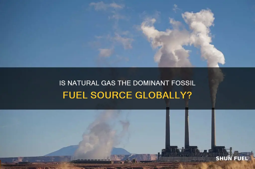 is naturalgas the largest amount of fossil fuels