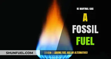 Is Natural Gas a Fossil Fuel? Exploring Its Origins and Classification