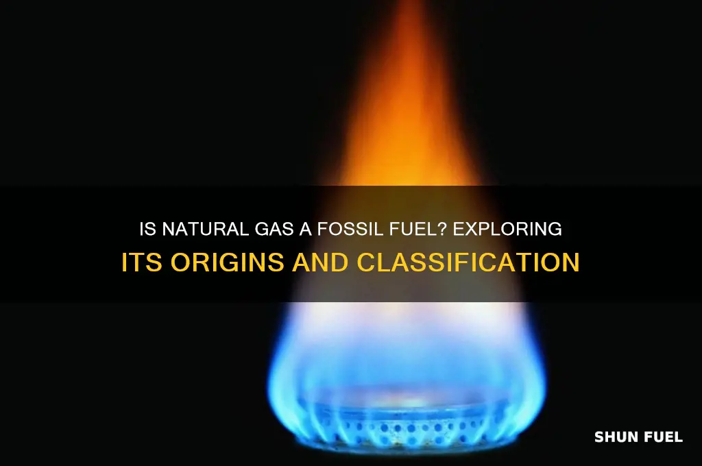 is nautral gas a fossil fuel