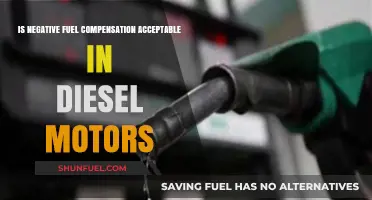 The Dark Side of Diesel: Negative Fuel Compensation
