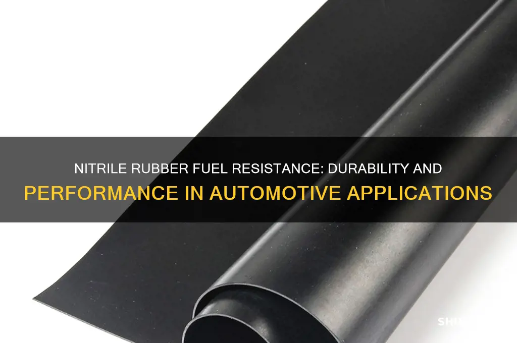 is nitrile rubber fuel resistant