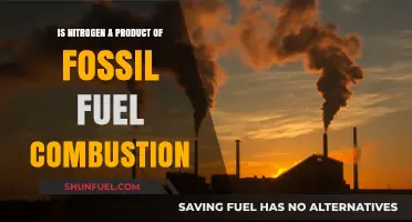 Nitrogen Emissions: A Hidden Byproduct of Fossil Fuel Combustion?