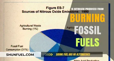 Fossil Fuel Combustion: Does Burning Produce Nitrogen Emissions?