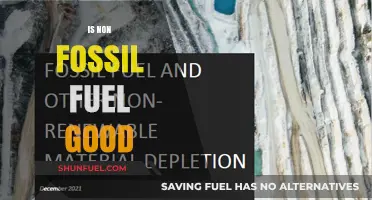 Is Non-Fossil Fuel the Sustainable Energy Solution We Need?