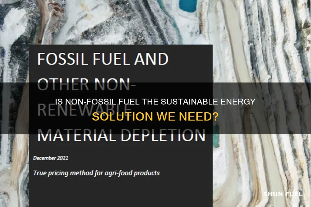 is non fossil fuel good