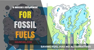 Nuclear Energy: A Viable Alternative to Fossil Fuels?