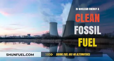 Is Nuclear Energy a Clean Alternative to Fossil Fuels?