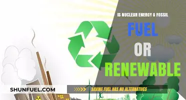 Nuclear Energy: Fossil Fuel or Renewable Resource? Exploring the Debate