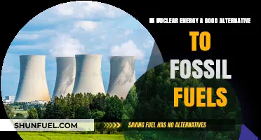 Nuclear Energy vs. Fossil Fuels: A Sustainable Power Alternative?