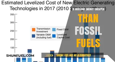 Nuclear Energy: Cheaper Than Fossil Fuels?