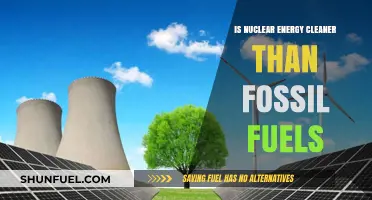 Nuclear Energy: Cleaner Alternative to Fossil Fuels?