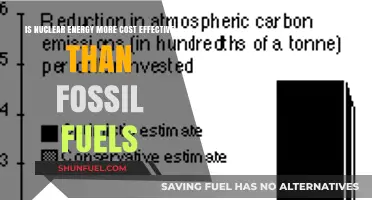 Nuclear Energy vs. Fossil Fuels: Cost-Effectiveness and Long-Term Viability