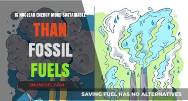 Nuclear Energy vs. Fossil Fuels: Which Powers a Greener Future?