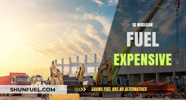 Is Nuclear Fuel Expensive? Cost Analysis and Economic Implications