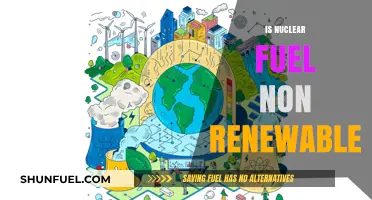 Is Nuclear Fuel Non-Renewable? Exploring Its Sustainability and Future