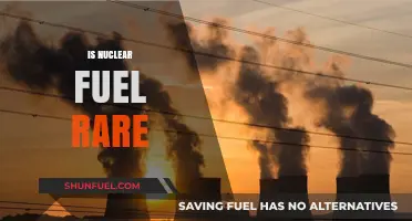 Is Nuclear Fuel Rare? Exploring Availability and Global Resources