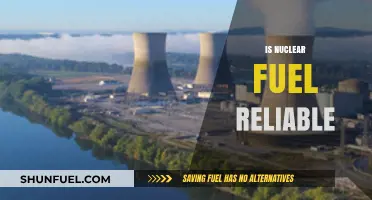 Is Nuclear Fuel a Reliable Energy Source for the Future?
