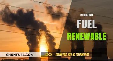 Is Nuclear Fuel Renewable? Exploring Energy Sustainability and Future Potential