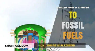Nuclear Fusion: A Clean Energy Alternative to Fossil Fuels?