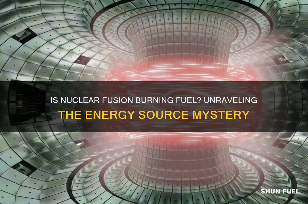 is nuclear fusion burning fuel