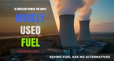 Nuclear Power: The Dominant Fuel Source in Global Energy?