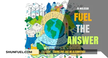 Is Nuclear Fuel the Sustainable Energy Solution We Need?