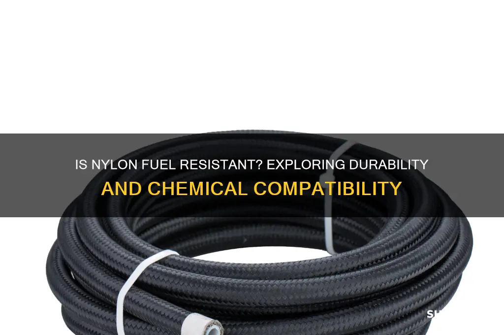 is nylon fuel resistant