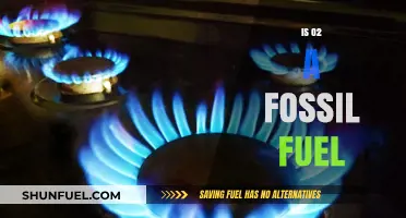 Is Oxygen a Fossil Fuel? Debunking Common Energy Myths