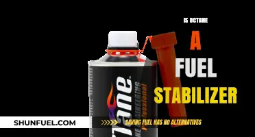 Octane as Fuel Stabilizer: Fact or Fiction? Exploring Its Role