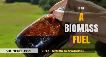 Is Oil a Biomass Fuel? Exploring the Energy Source Debate