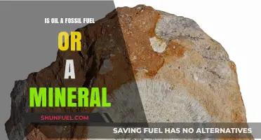 Oil's True Nature: Fossil Fuel or Mineral Resource Explained