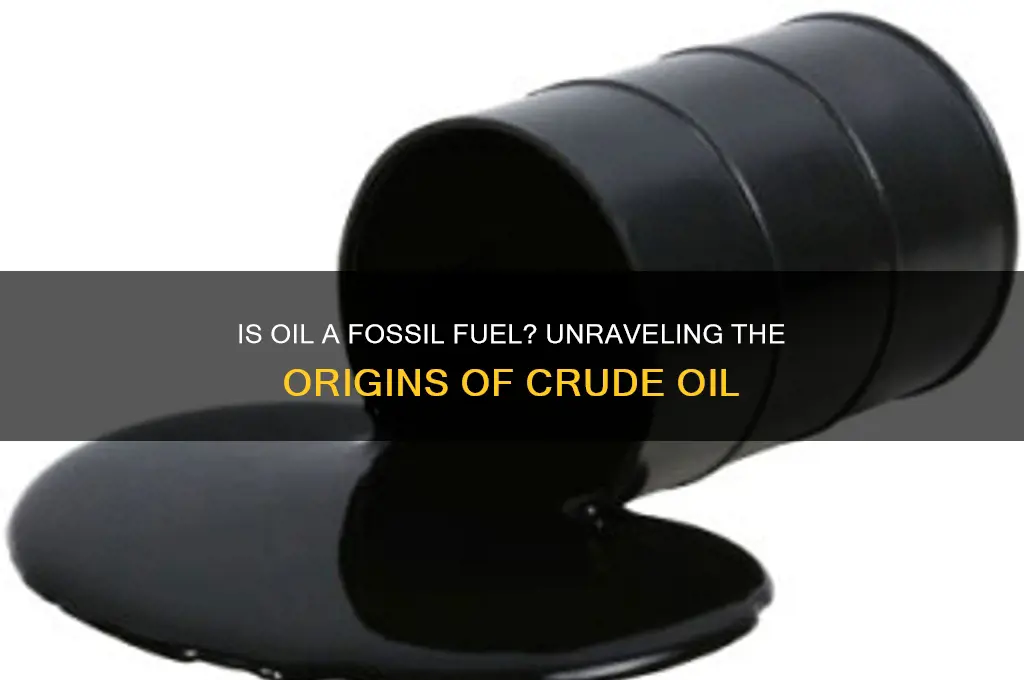 is oil made from fossil fuels