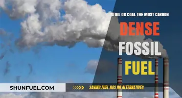 Oil vs. Coal: Which Fossil Fuel Emits More Carbon?