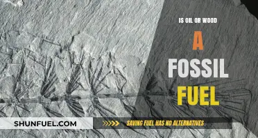 Oil vs. Wood: Understanding Fossil Fuels and Their Origins