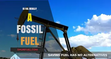 The Mystery of Oil: Fossil Fuel or Not?