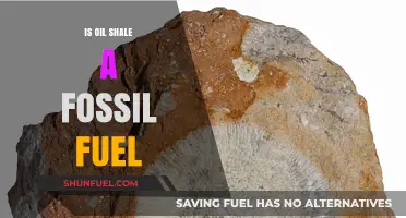 Is Oil Shale a Fossil Fuel? Unraveling the Energy Debate