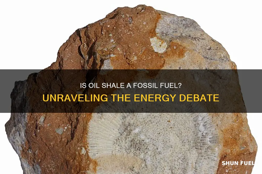 is oil shale a fossil fuel