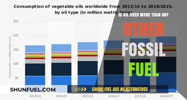 Oil's Dominance: Is It the Most Consumed Fossil Fuel Globally?