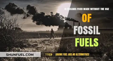Organic Food and Fossil Fuels: Unraveling the Sustainable Production Myth