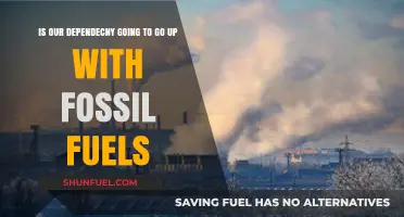 Fossil Fuel Dependence: Rising Trend or Sustainable Shift Ahead?