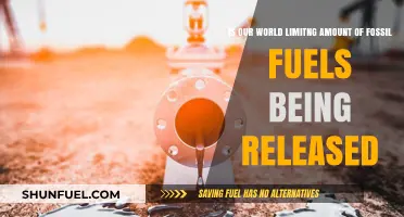 Are Finite Fossil Fuels Shaping Our Planet's Future?