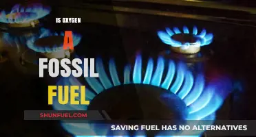 Oxygen vs. Fossil Fuels: Debunking the Energy Source Myth