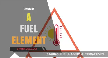 Is Oxygen a Fuel Element? Exploring Its Role in Combustion