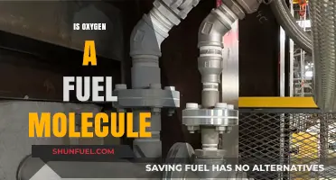 Is Oxygen a Fuel Molecule? Unraveling the Science Behind Combustion